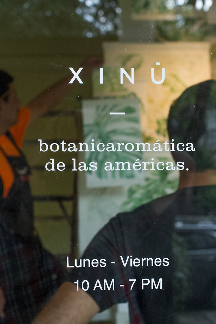 Xinu, perfumes, aromatica de las americas, mexico, los originales contratistas, C+A, Cadena, Asociados, interior, design, diseño, interiores, monstera, monstera deliciosa